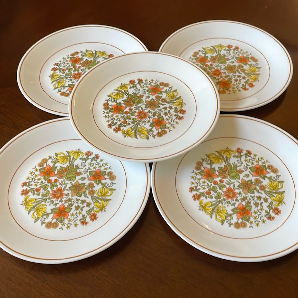Vintage lot of 5 Corelle by Corning Indian Summer pattern 8.5” salad plates